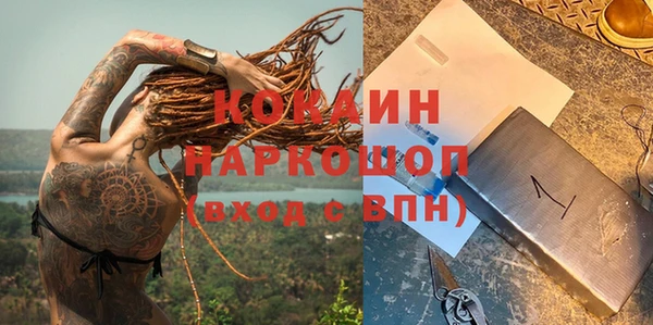 дурь Алексин