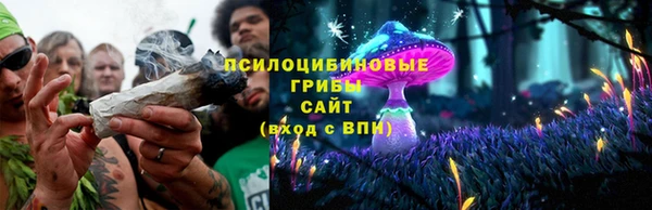 бошки Алзамай