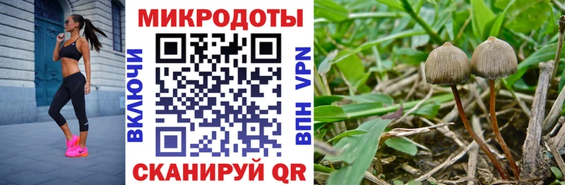 Галлюциногенные грибы мухоморы KRAKEN ТОР Камбарка